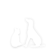 キャラメルランド